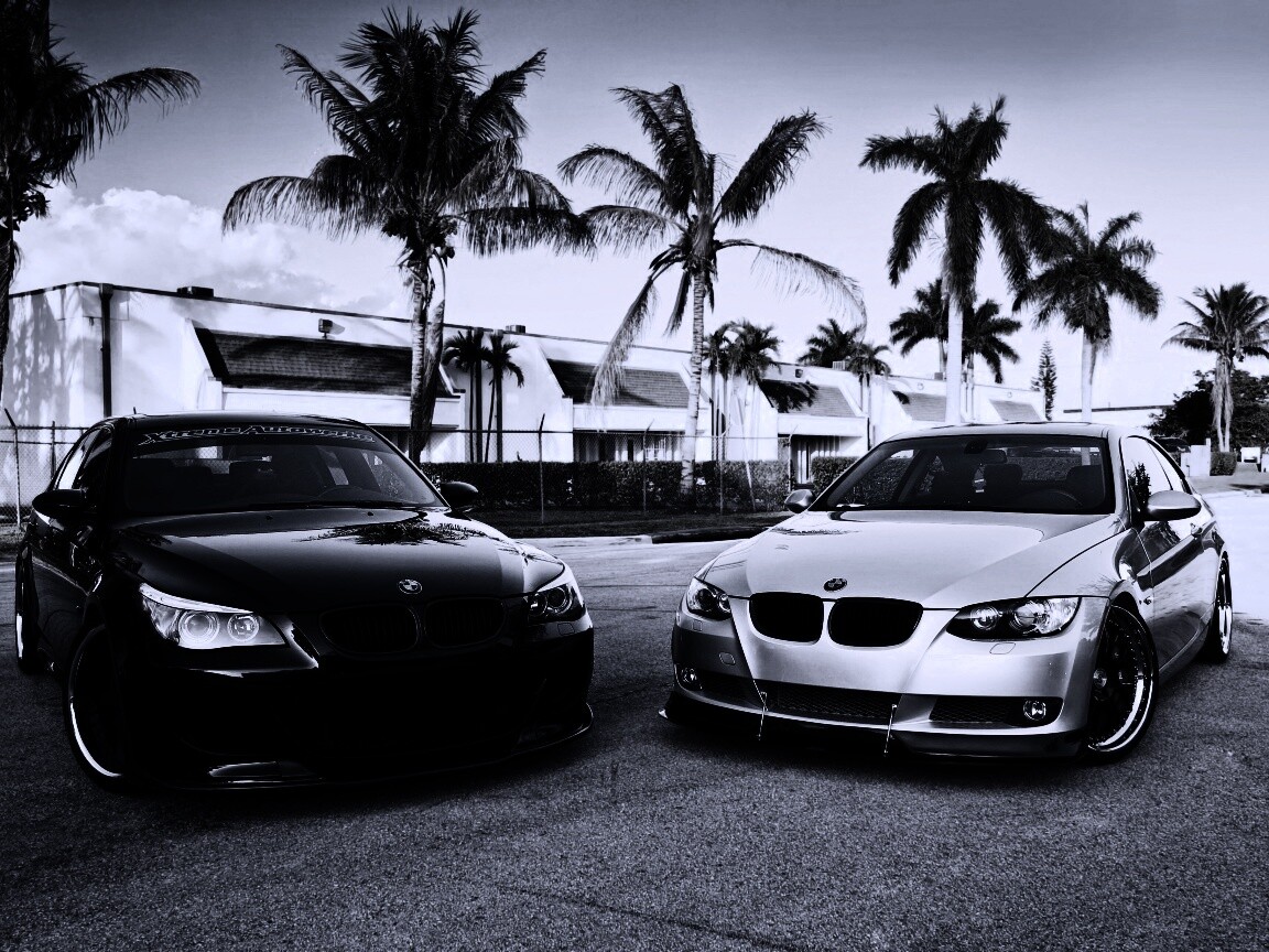 Две БМВ обои