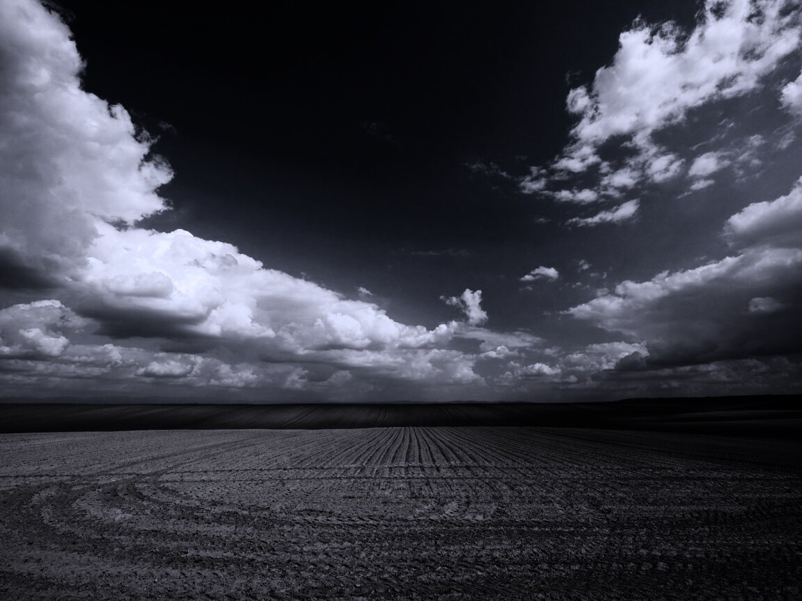 Незасеянное поле обои