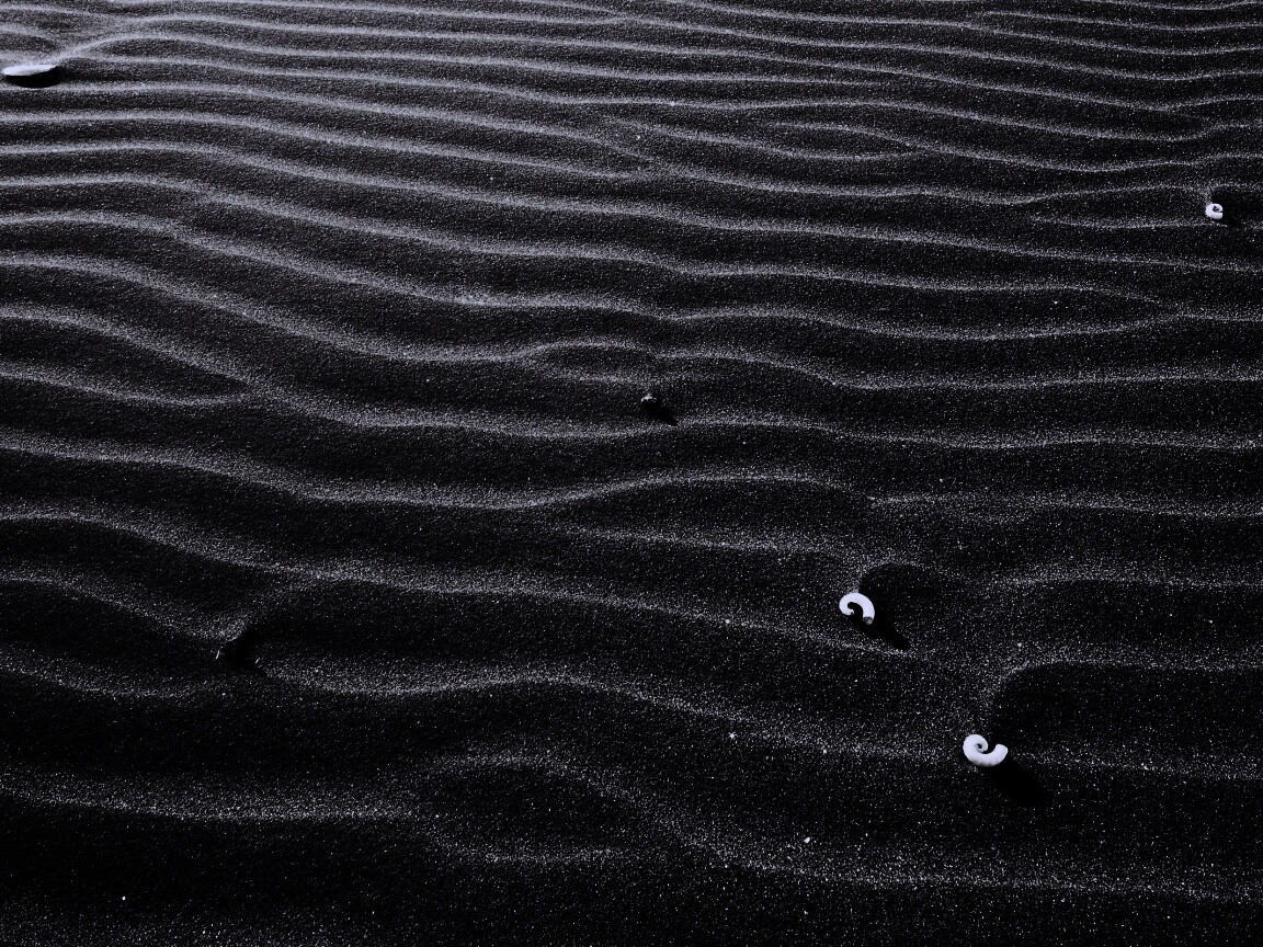 Песок и раковины обои