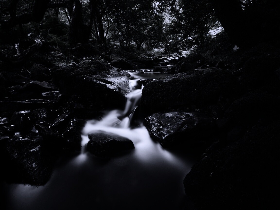 Речной поток в лесу обои