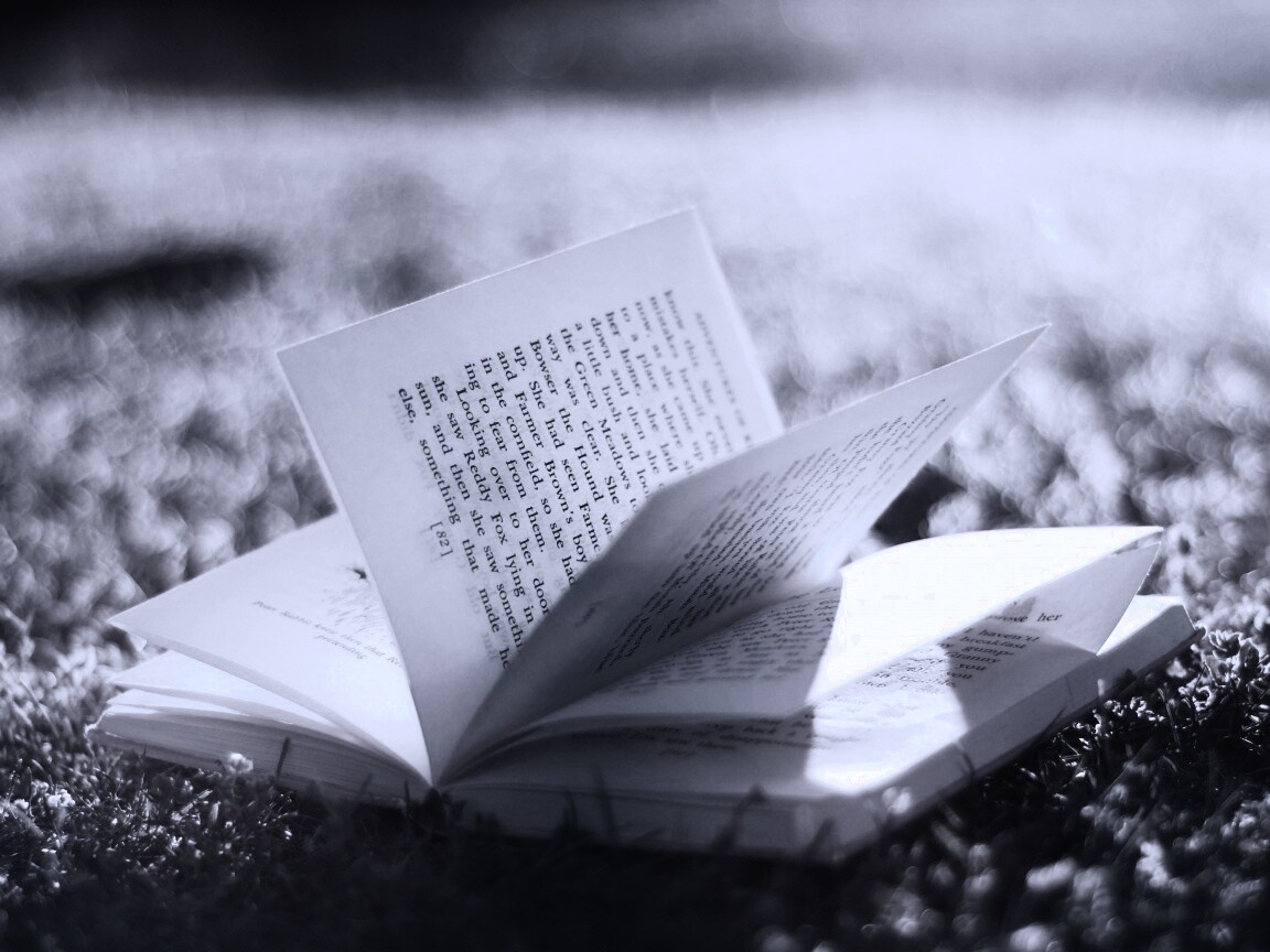 Книга в нежном свете обои