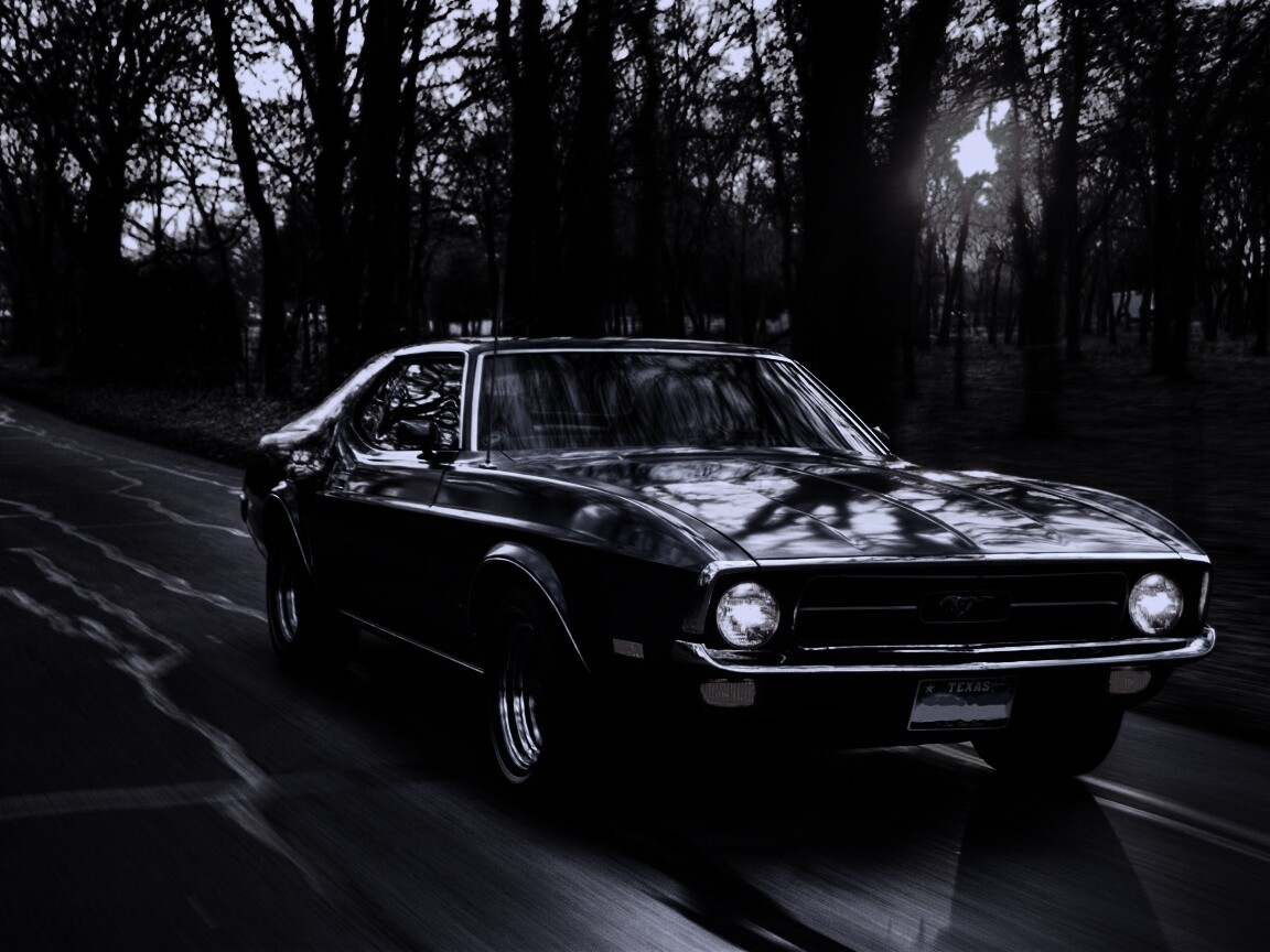 Мустанг обои