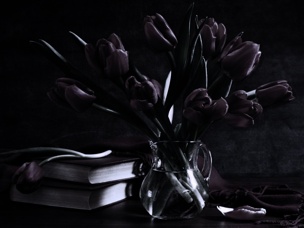 Букет красных тюльпанов обои