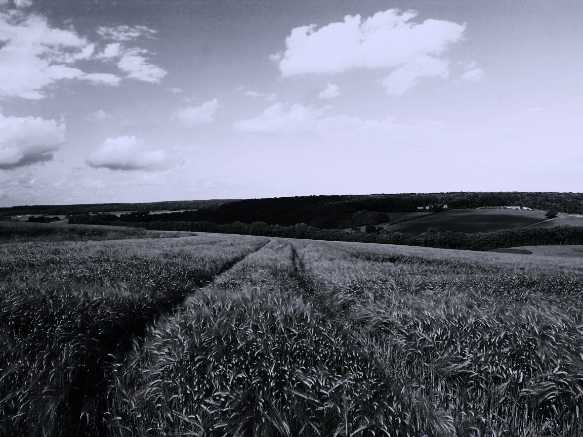 Бескрайние просторы обои