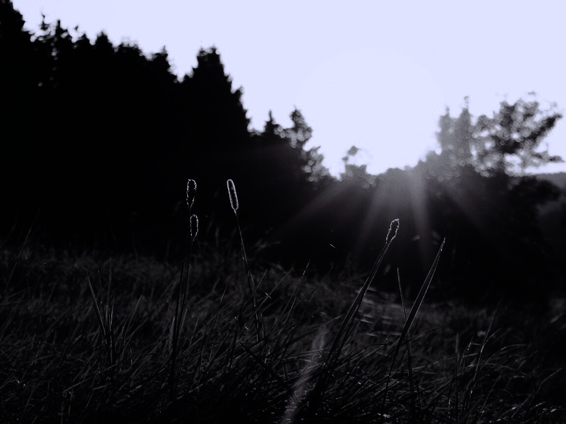 Красота природы обои