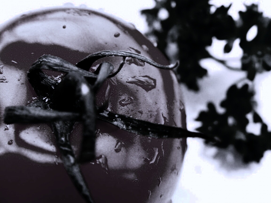 Свежая помидорка обои