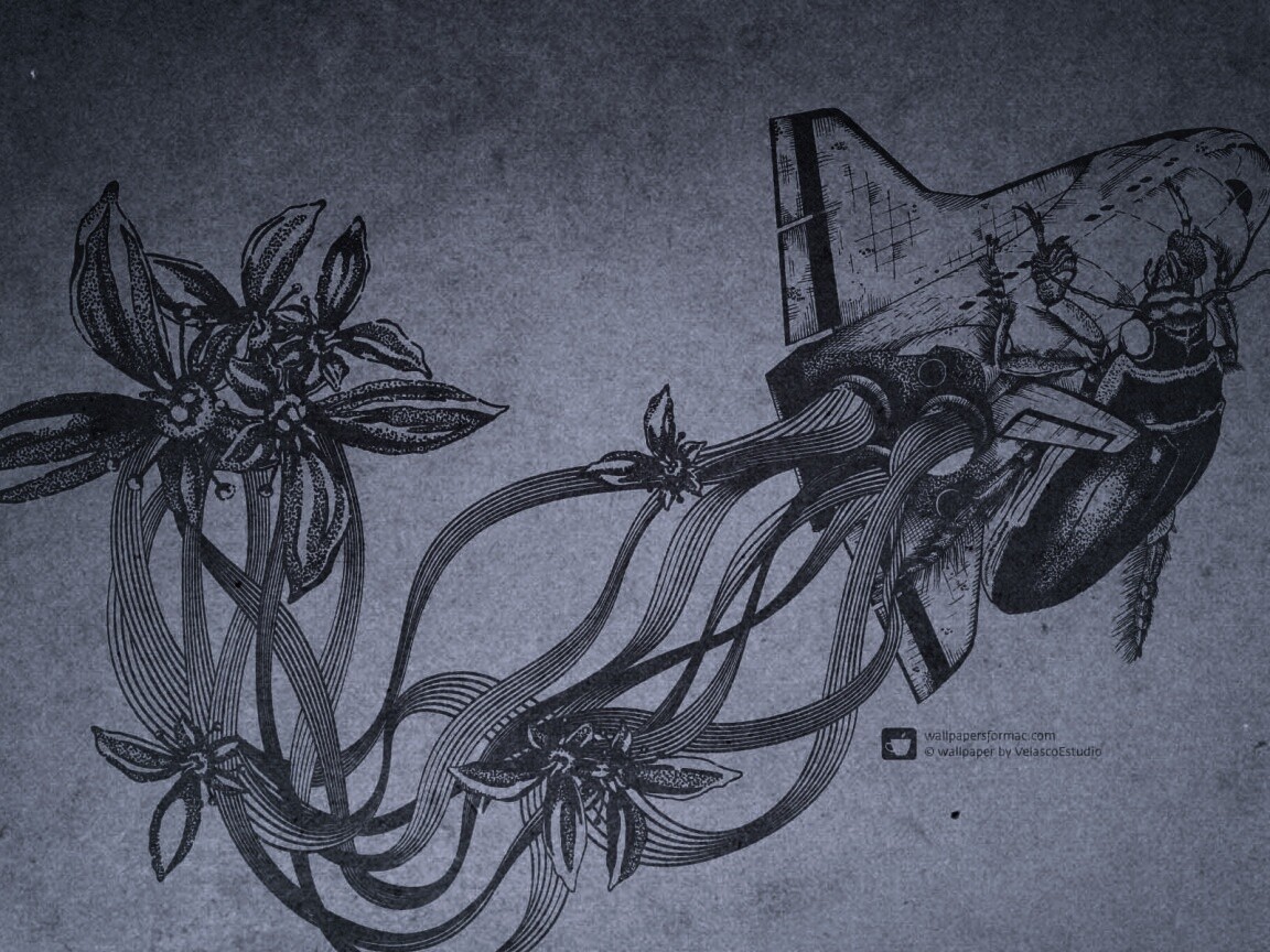 Абстракции для Apple обои