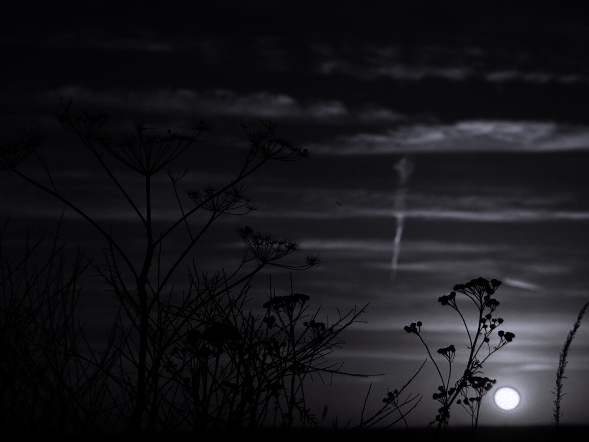 Степной закат обои