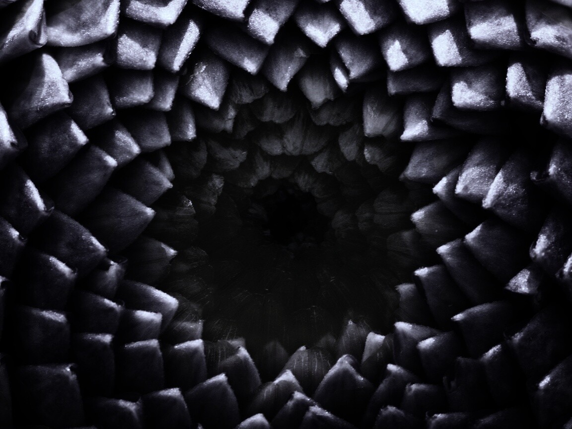 Сердцевина цветка обои