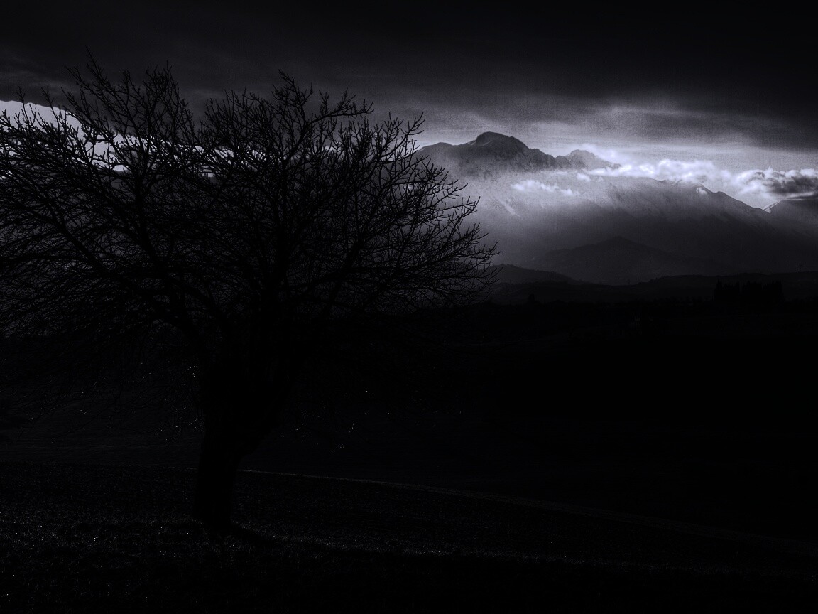 Дерево и горы обои