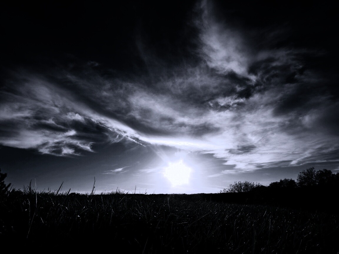 Травяной закат обои