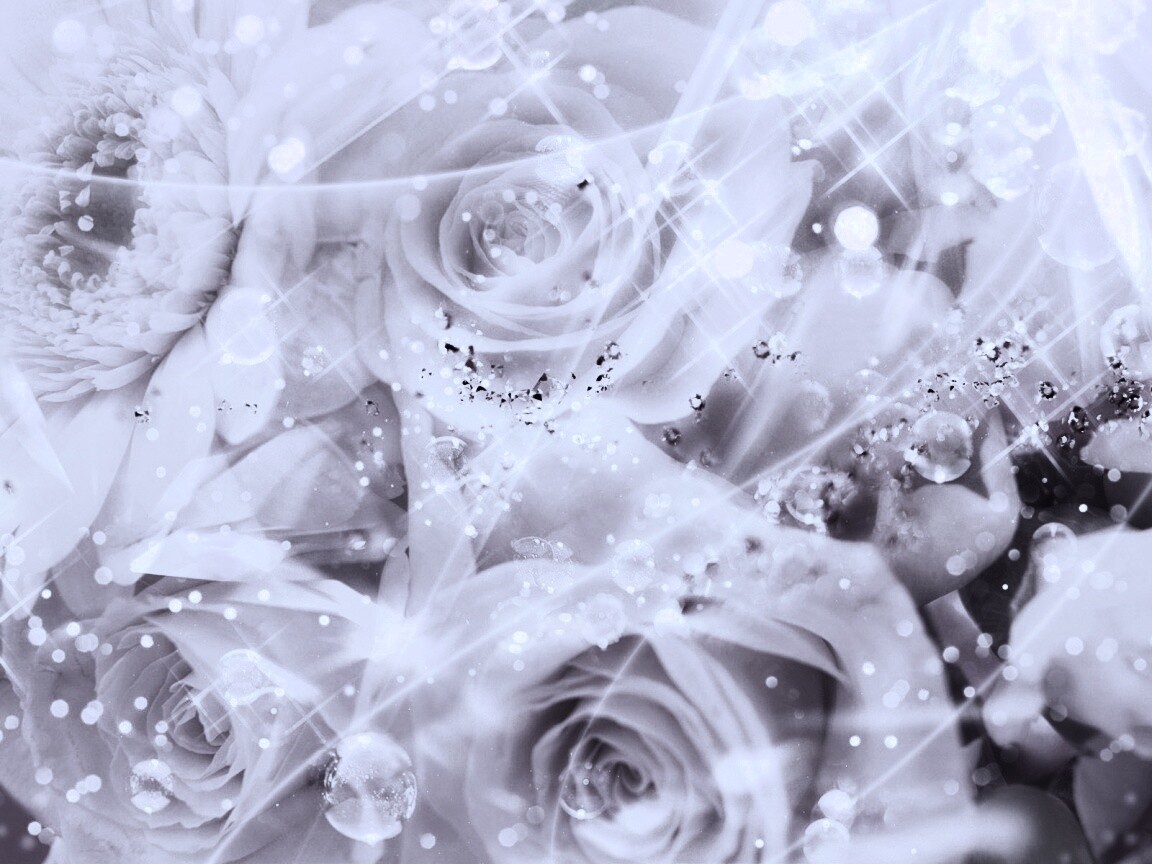 Розово-розовая абстракция с цветами обои