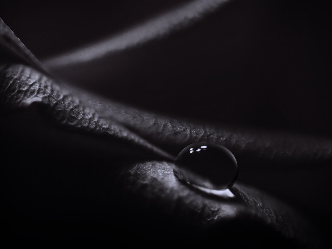 Капелька обои