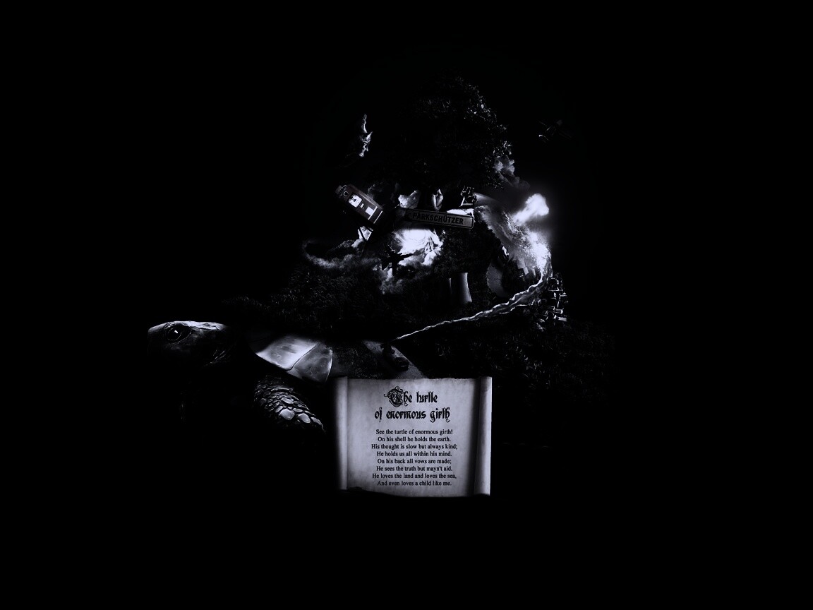 Огромная в обхвате черепаха обои