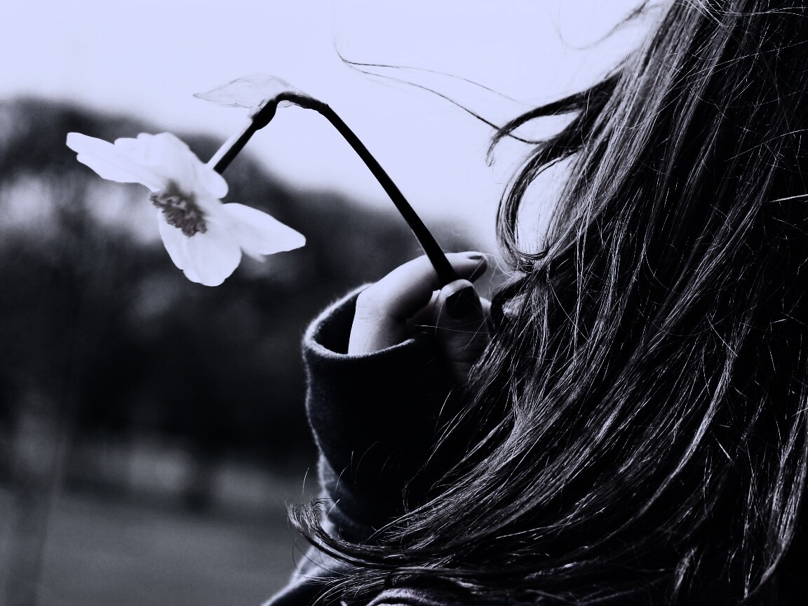 Девушка с нарциссом в руке обои