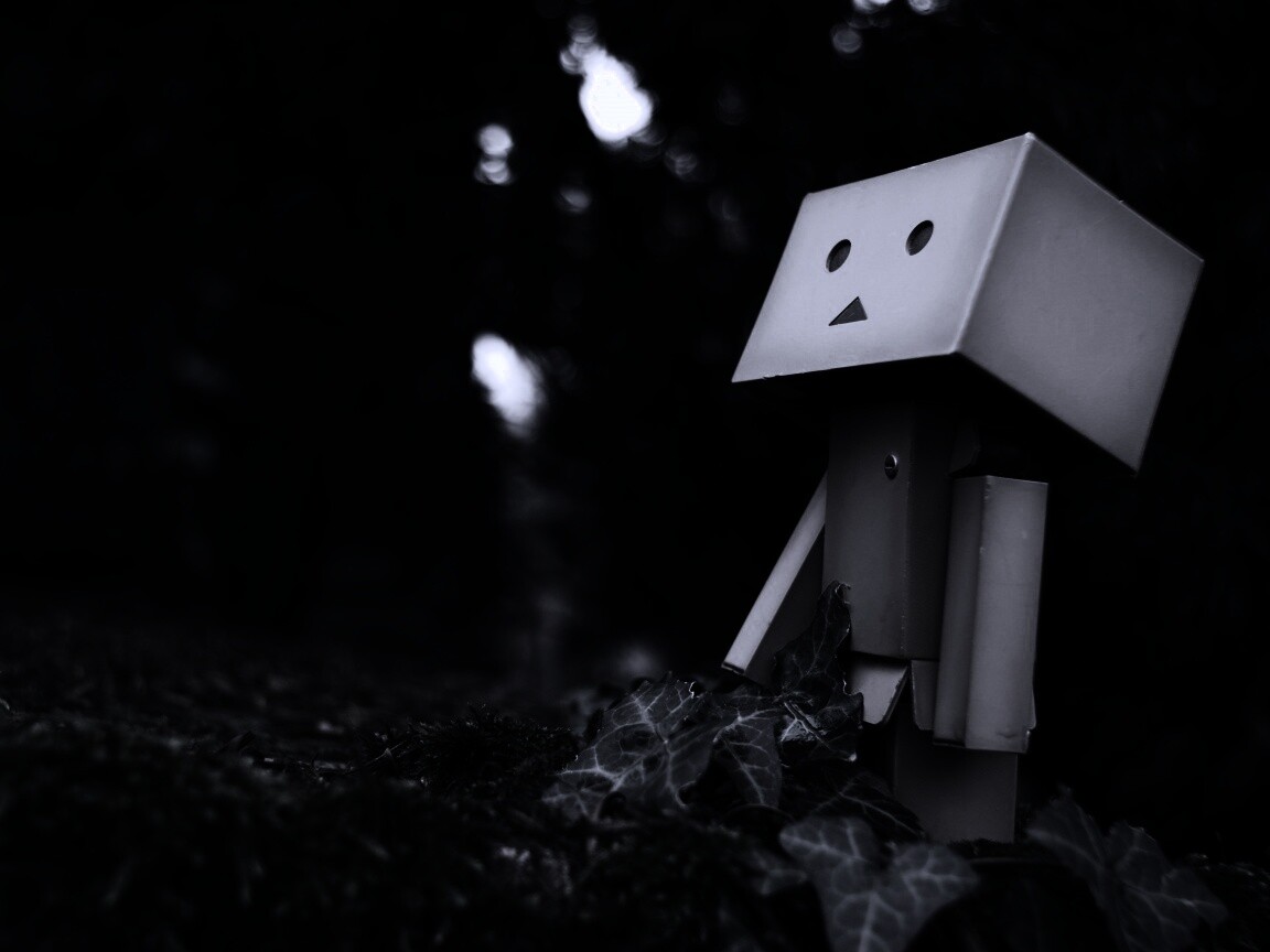 Danbo смотрит вверх обои