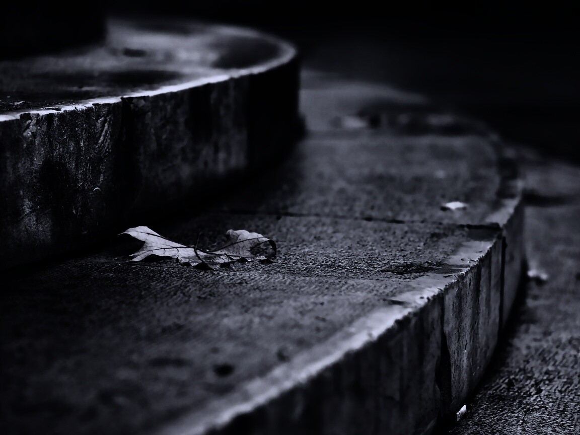 Лист на ступеньках обои