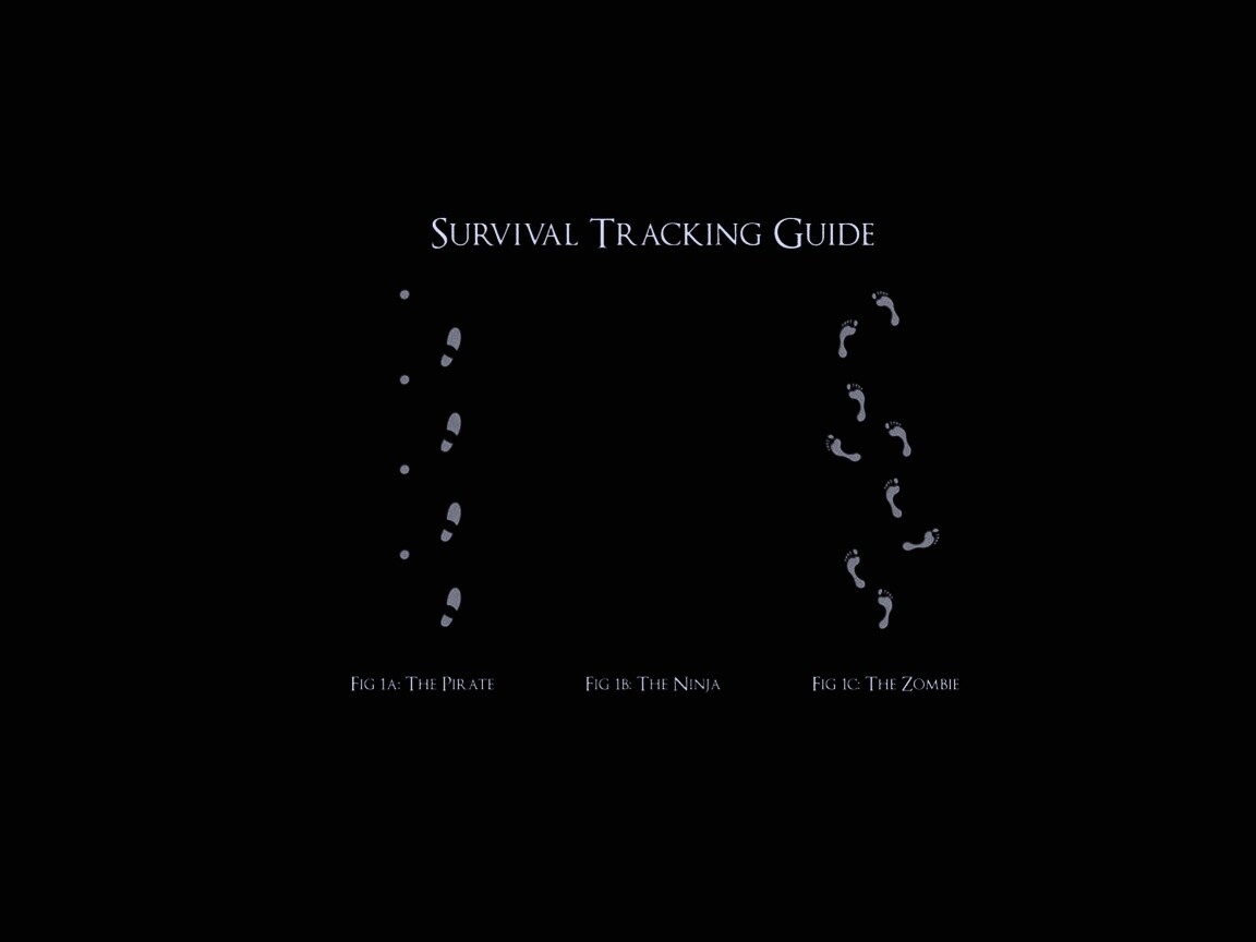 Следы: Пират, Ниндзя, Зомби обои