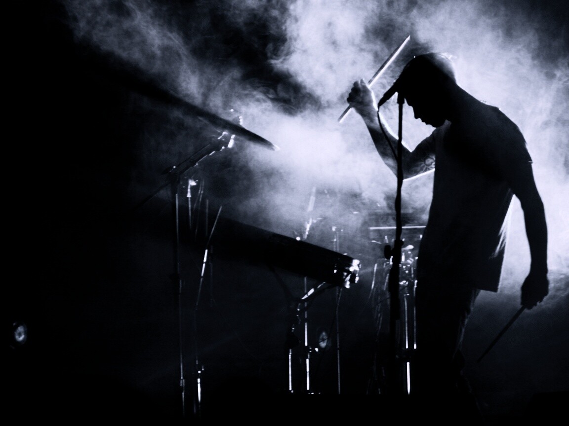 Концер Дельфина обои