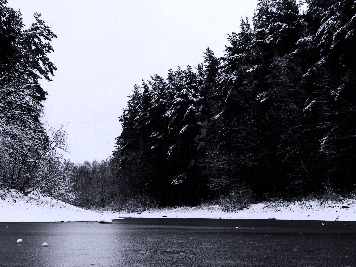 Зимняя дорога обои