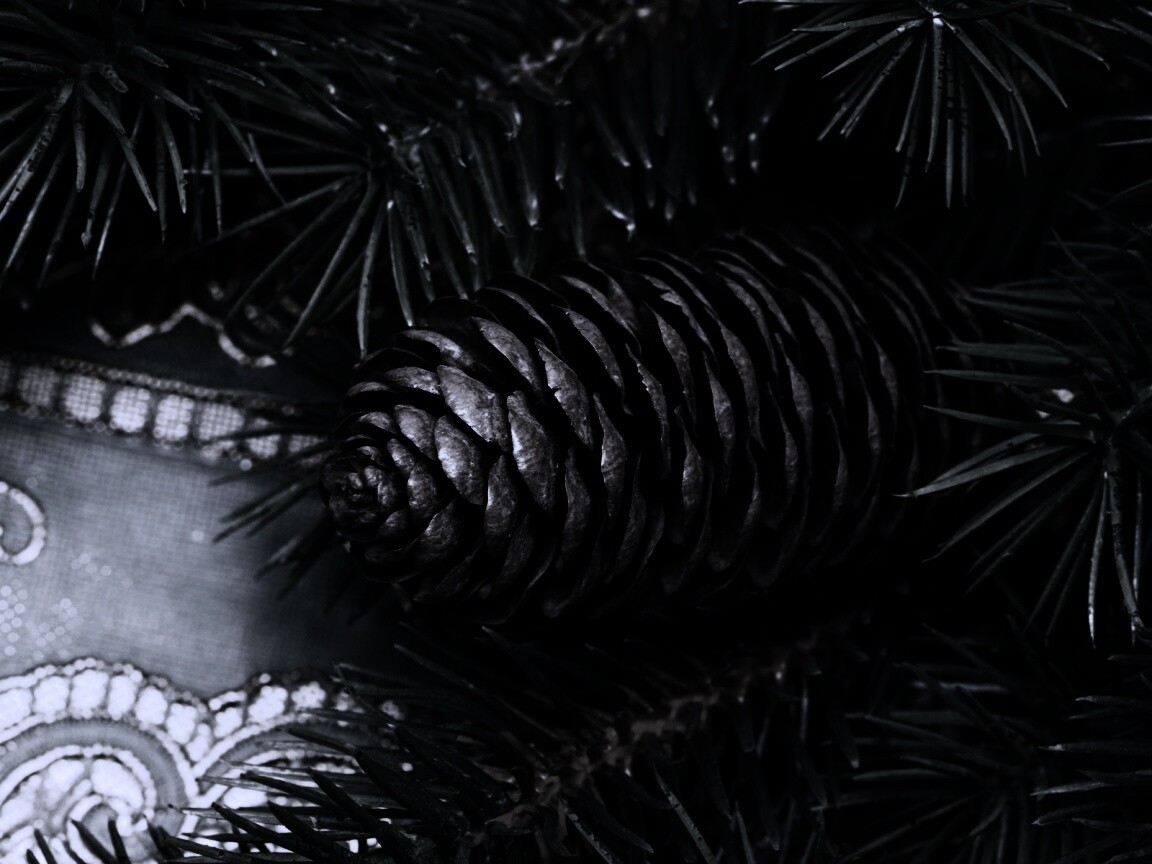 Шишка на елке обои