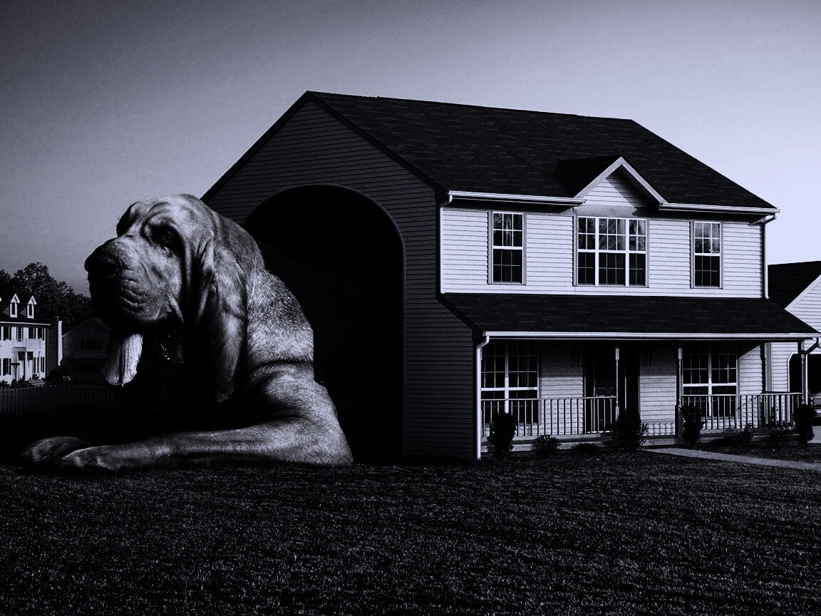 Действительно большая собака обои