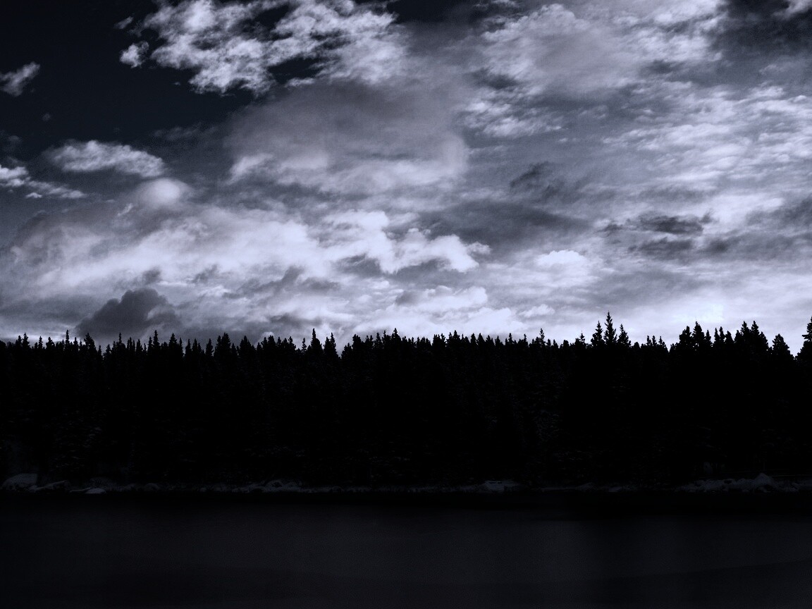 Лес на озере обои