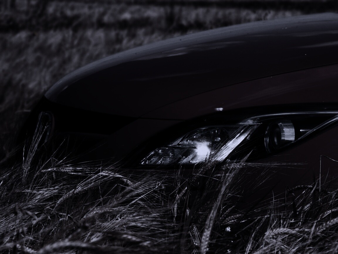 Мазда в пшенице обои