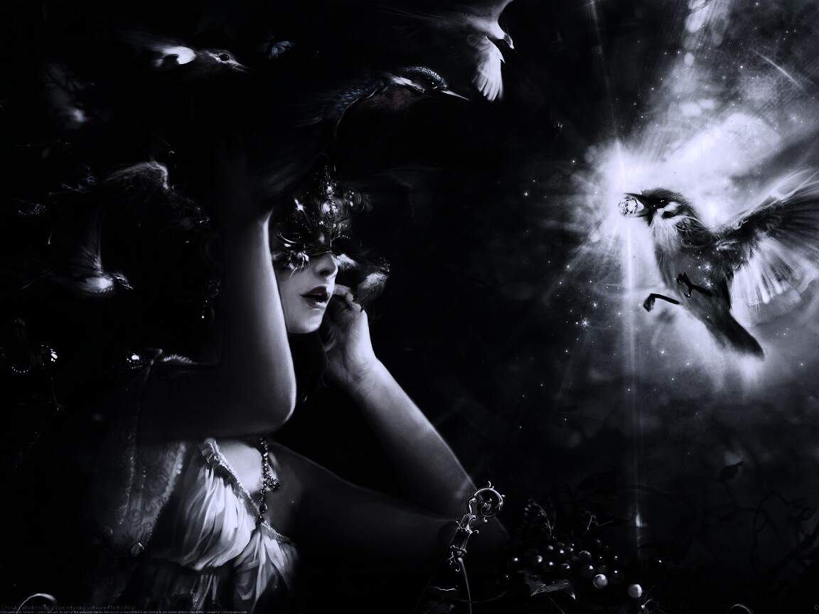 Птицы счастья обои