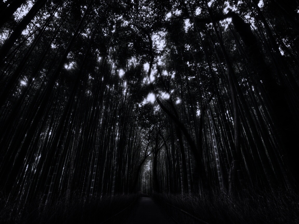 Дорога в тростниковых зарослях обои