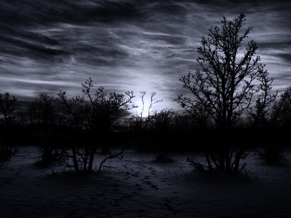 Закат в зимнем лесу обои