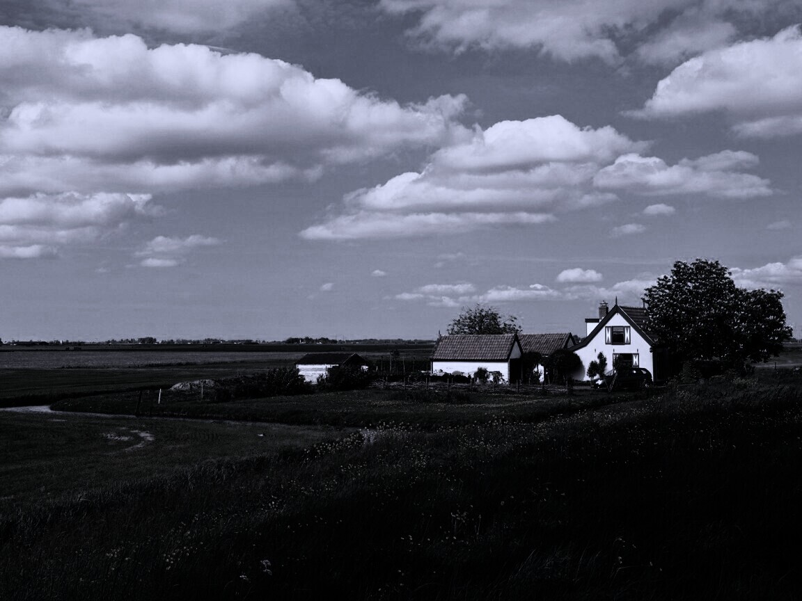 дом на лугу обои