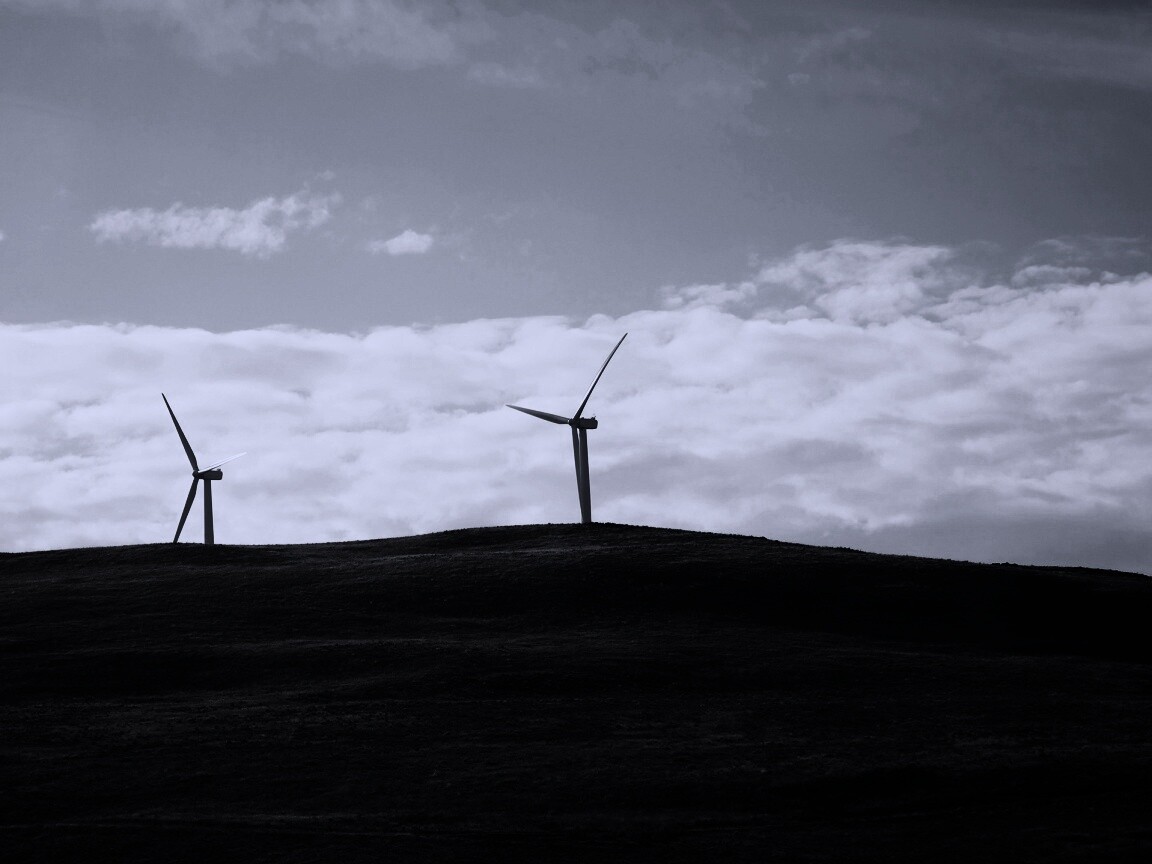 Ветряки в поле обои