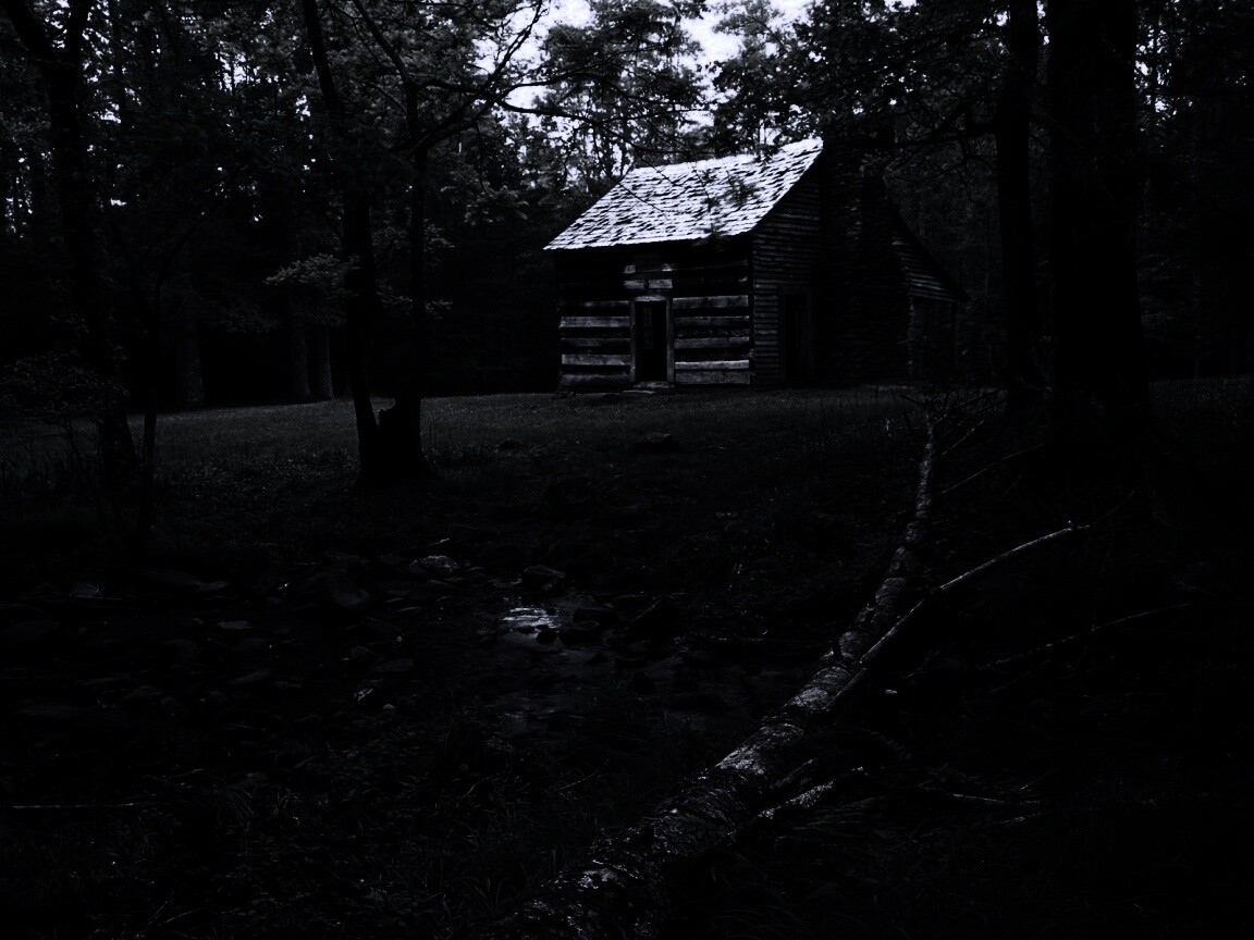 Домик в лесу обои