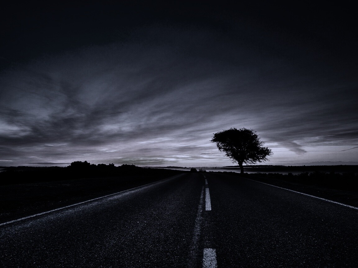 Дорога обои