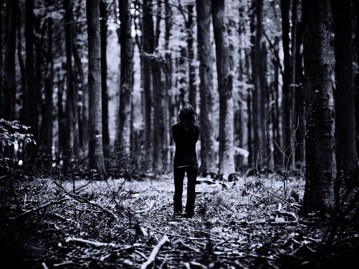 Одна в лесу обои