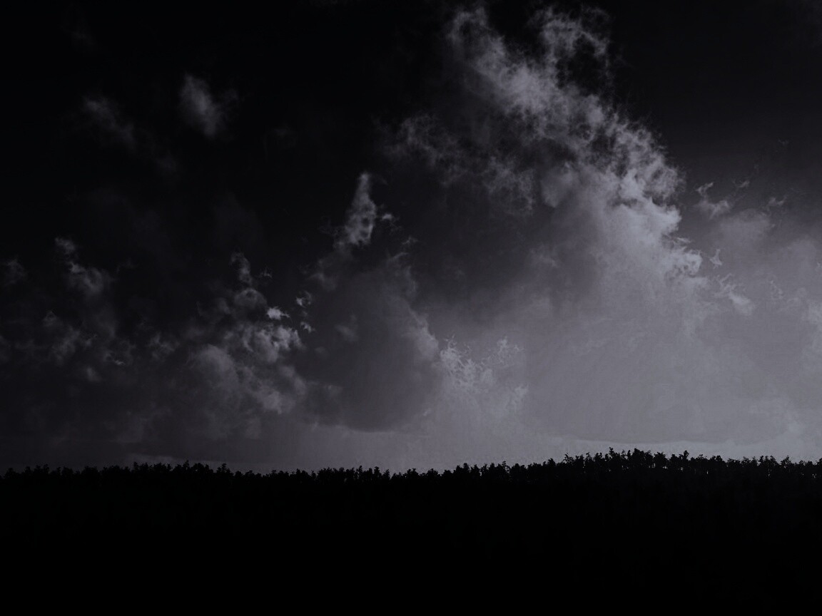 Закат над лесом обои