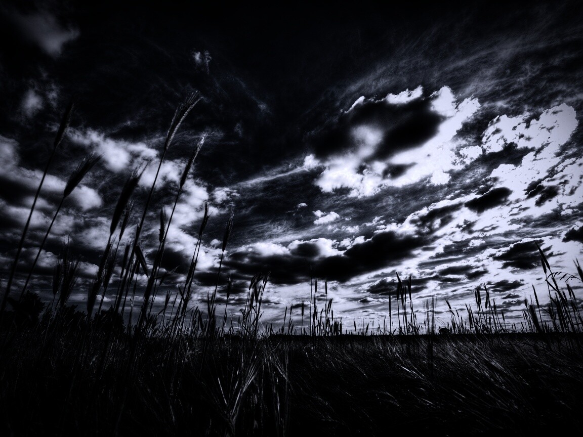 HDR Поле обои