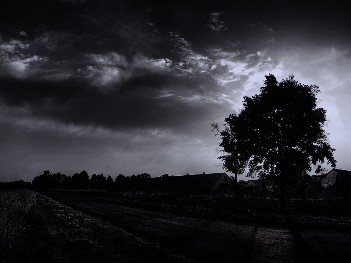 Закат на фоне дерева в HDR обои