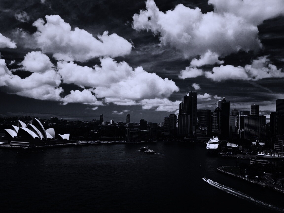 Сидней обои