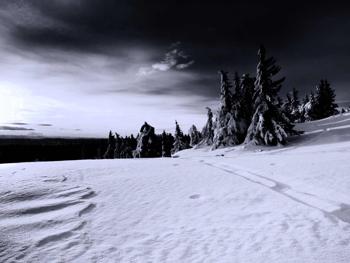 Зимние просторы обои