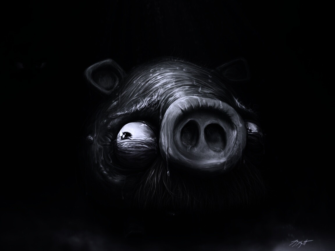 Свинья из Angry Birds обои