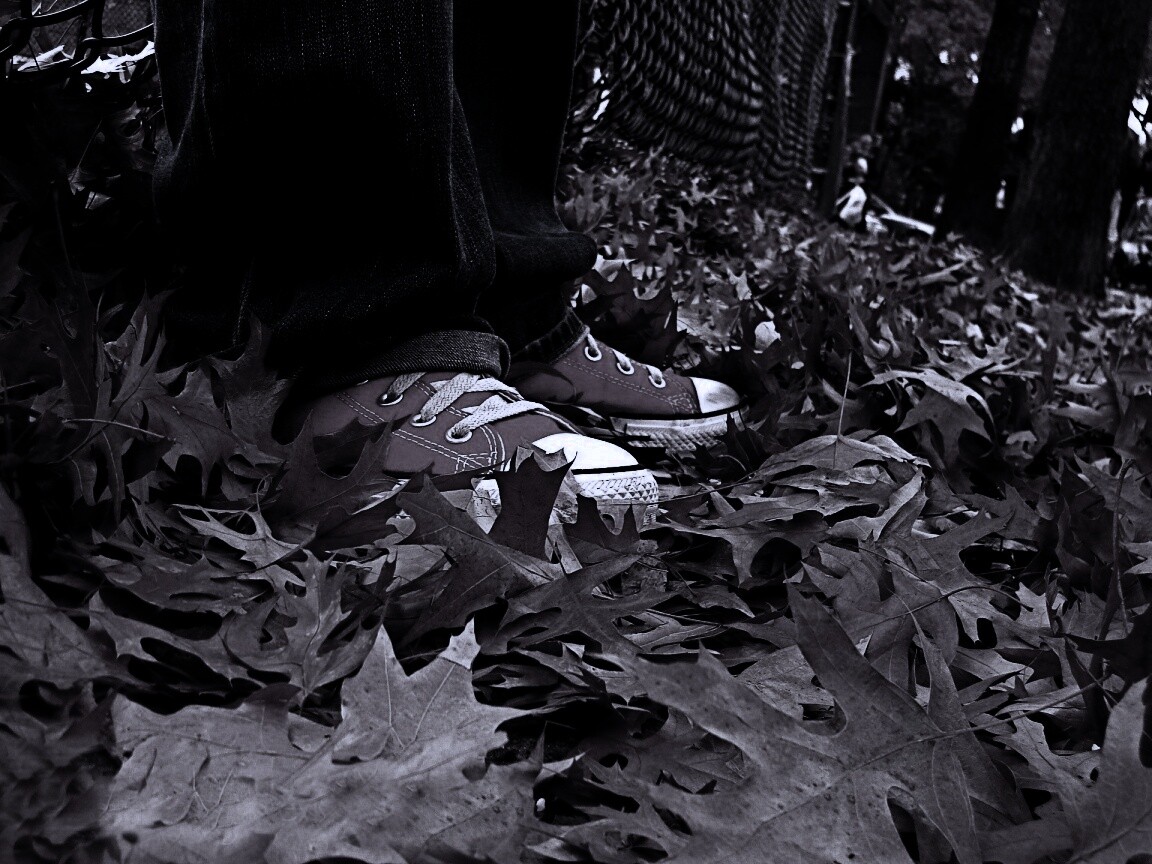 Оранжевые кеды обои