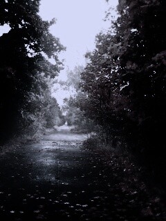 Желтая дорога обои