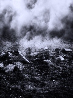 Туман на склоне обои