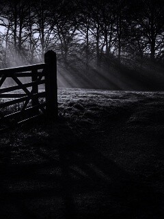 Открытые ворота обои