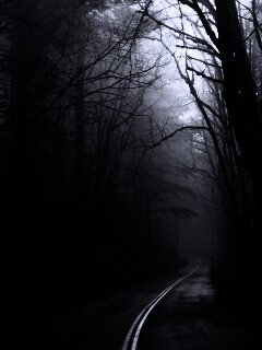 В туман обои