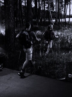 Реклама фотообоев обои