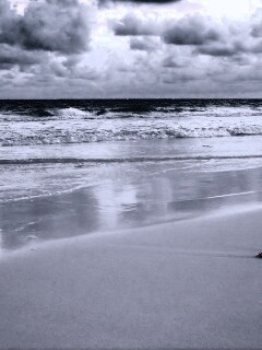 Тропический берег обои