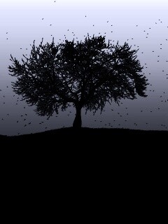 Черное дерево обои